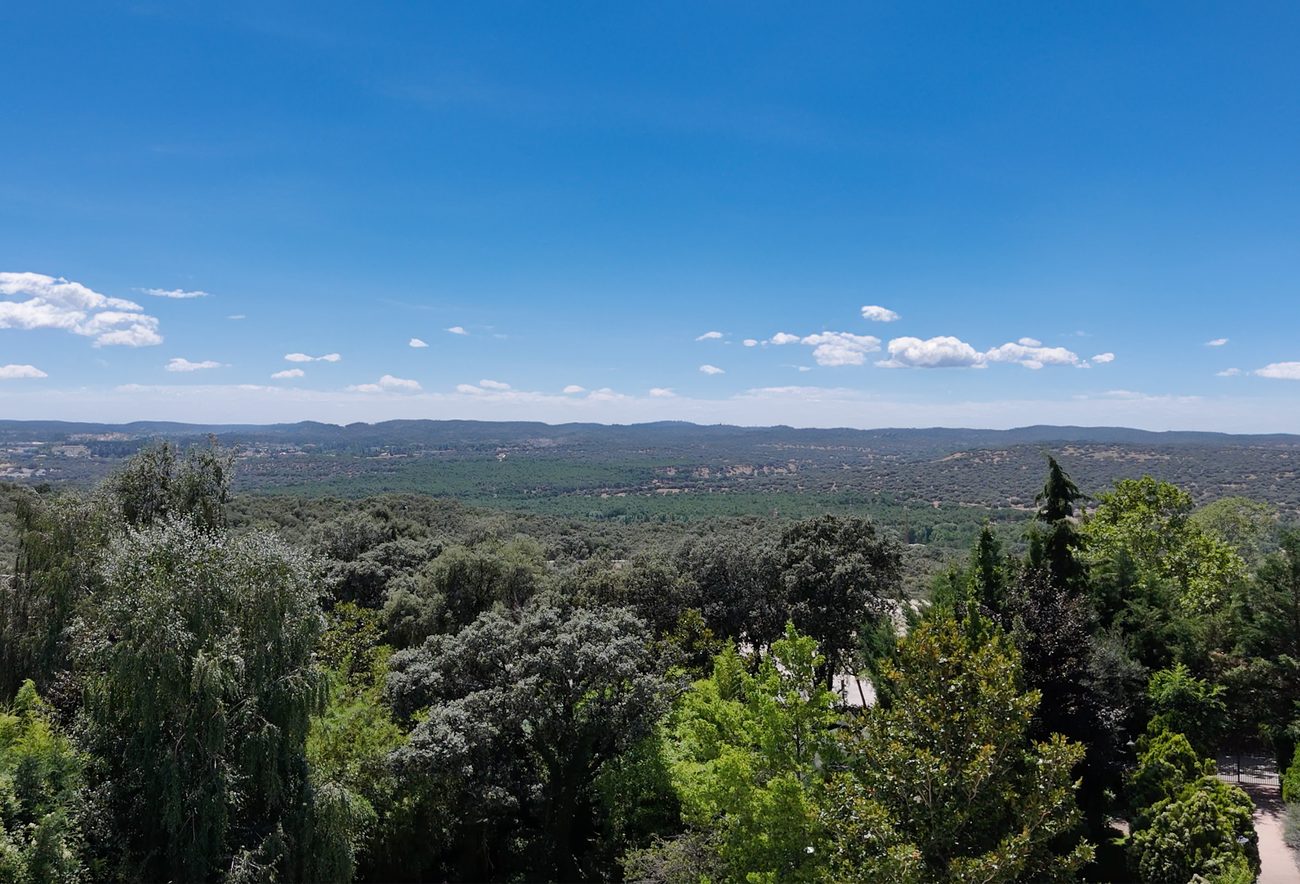 Vista aérea del Monte de El Pardo desde la finca