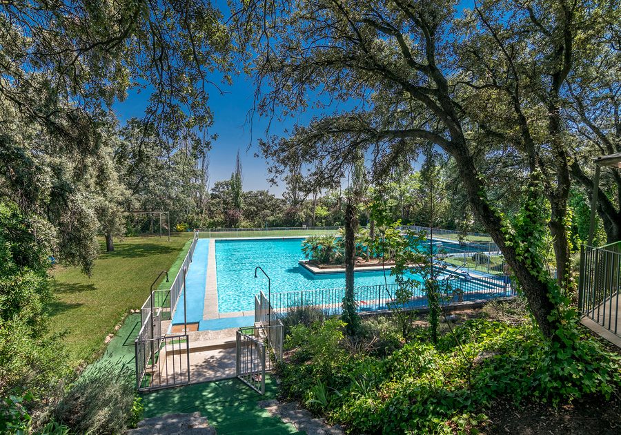 Piscina de la finca entre encinas