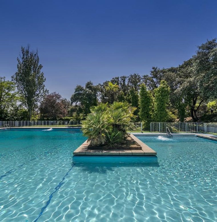 Lamina de agua de la piscina con la isla de palmeras