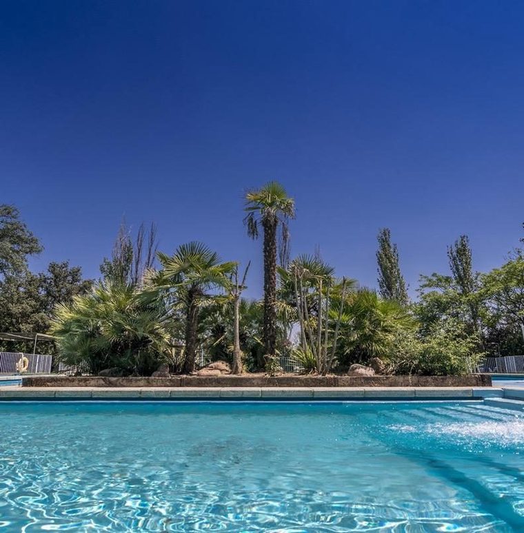 La piscina desde el borde, con las palmeras al fondo