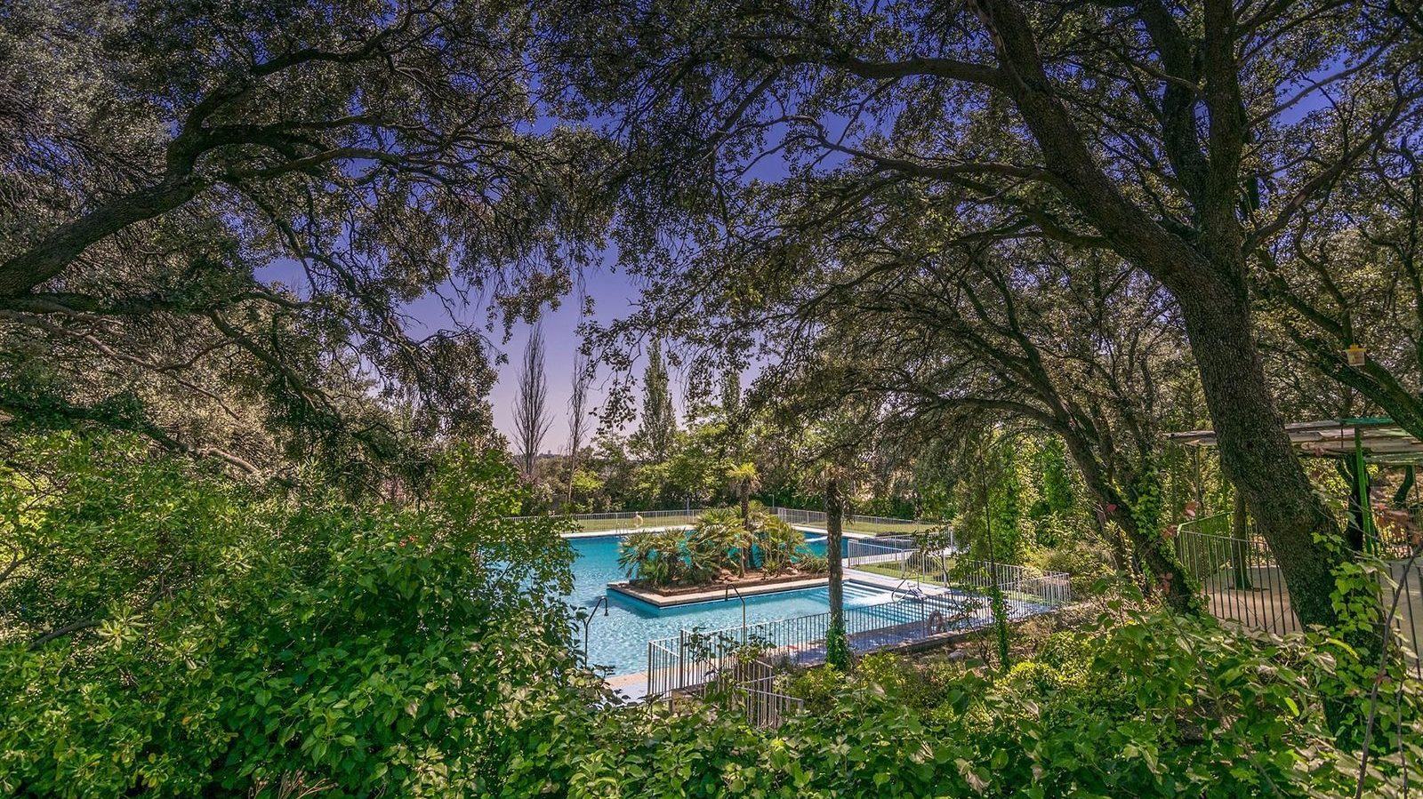 La piscina de la finca vista entre las encinas del Monte de El Pardo
