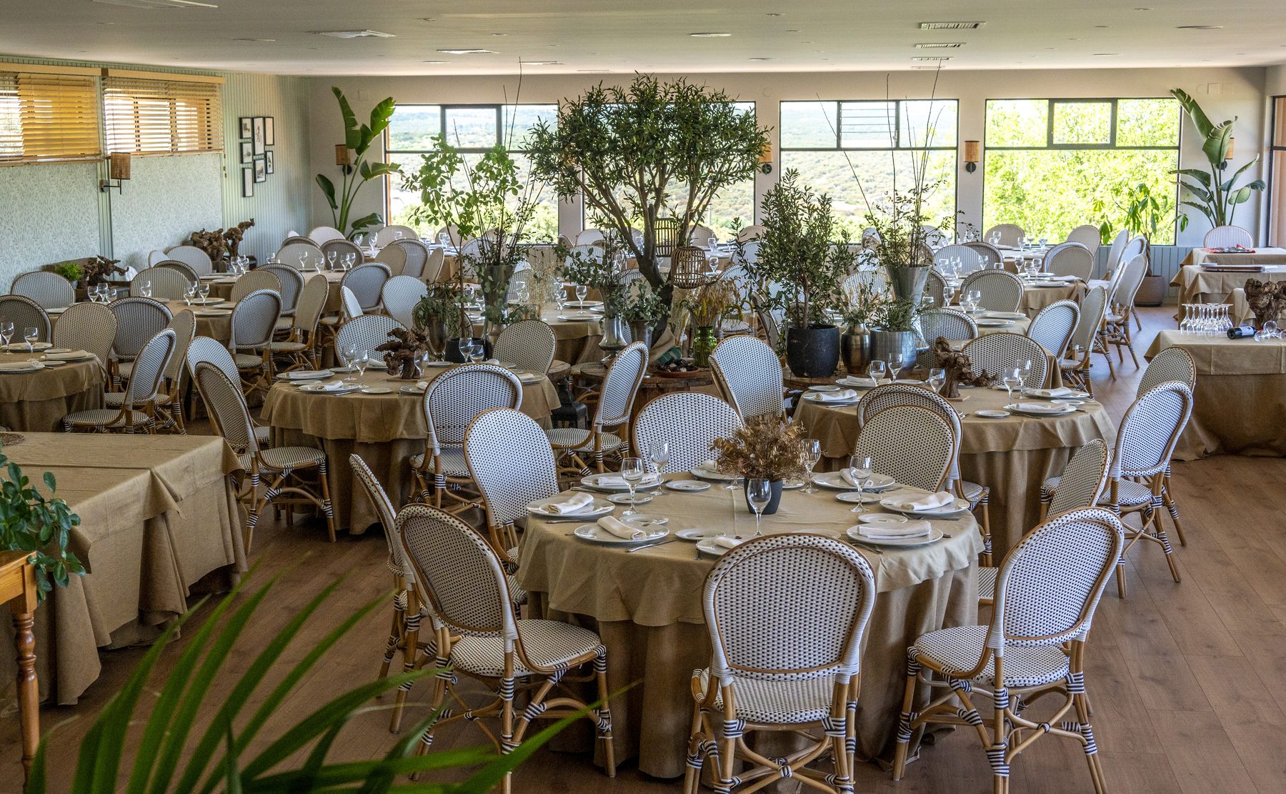 Sala del restaurante con olivos y ventanales al monte